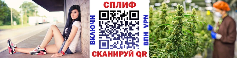 наркошоп Хвалынск Конопля Amnesia